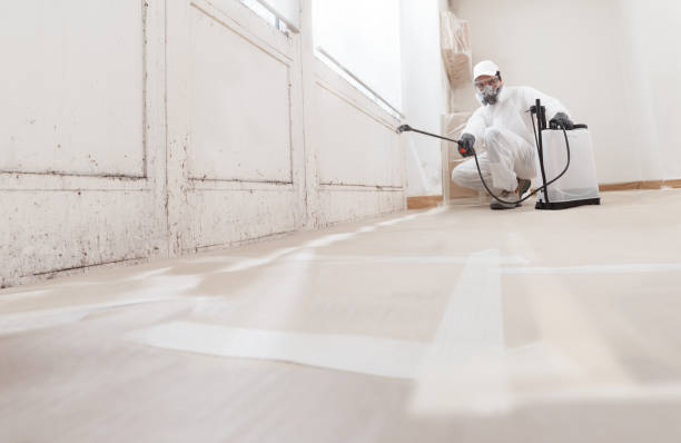 24/7 Emergency Mold Testing experts in Morrisville, NC